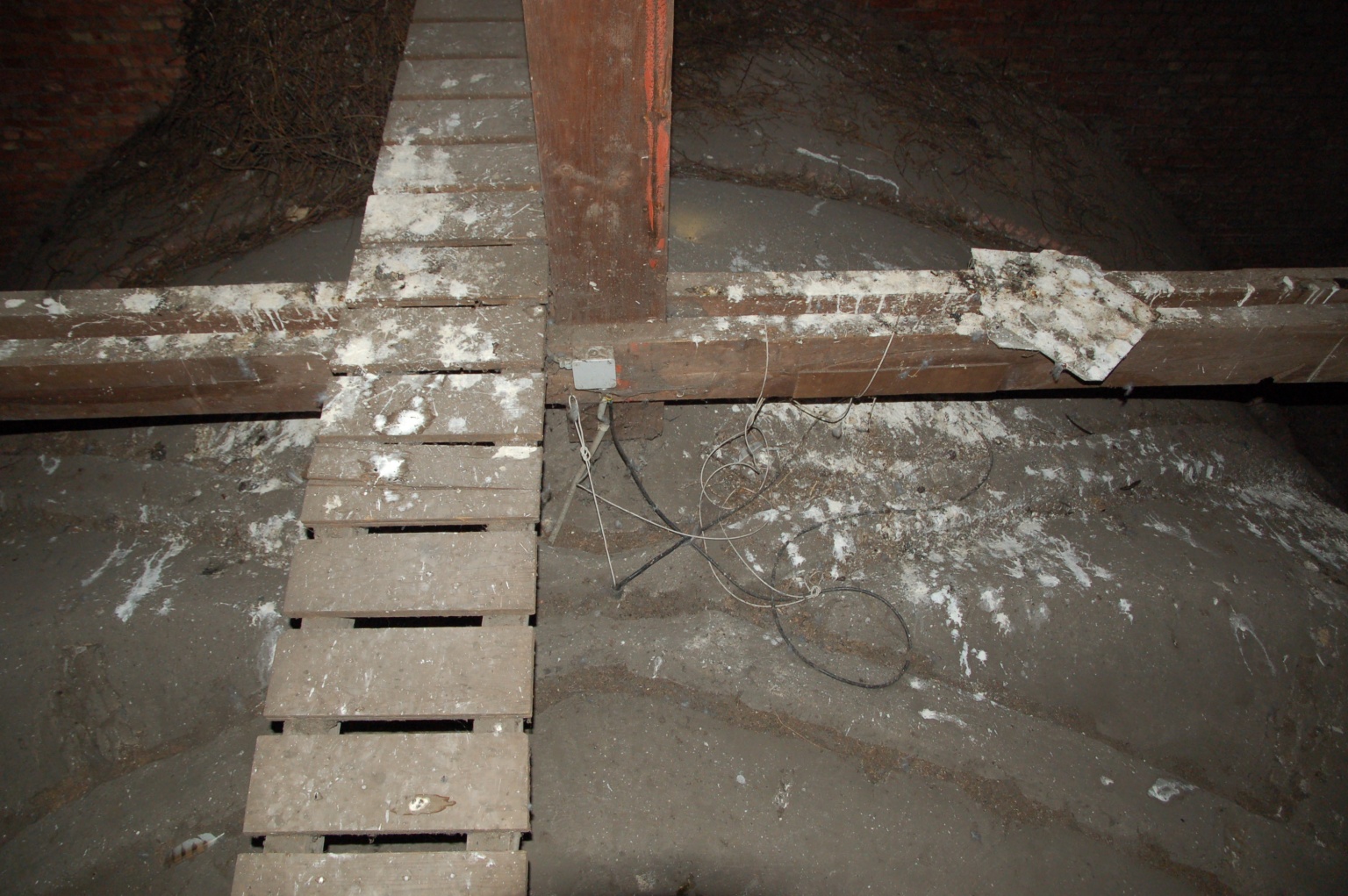 Witte uilenstront te over, met de elektra van de transeptverlichting in het midden