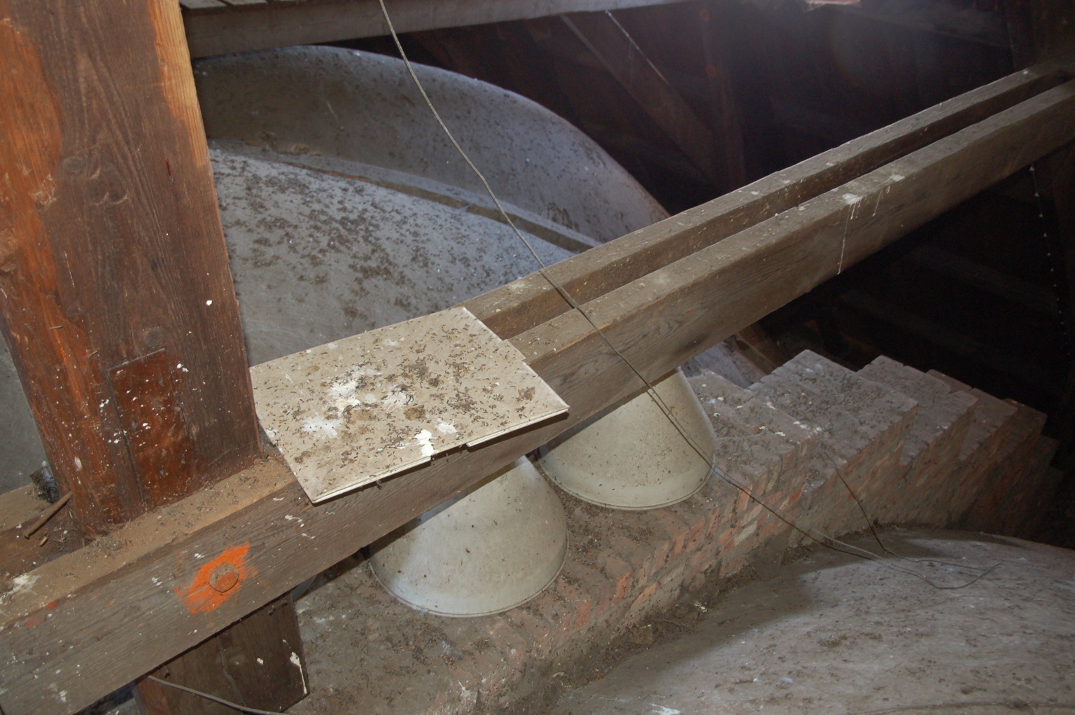 Op dit witte plaatje sterft het van de vleermuiskeutels