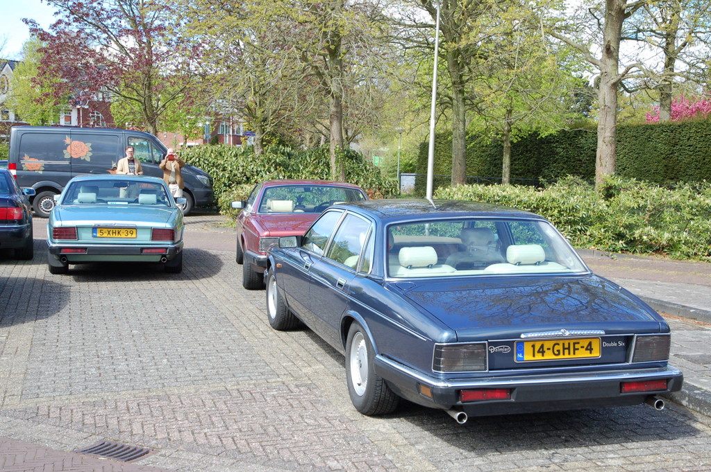 Jaguars near Pim